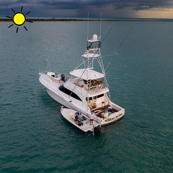 Summer - Star brite Distributing, LLC